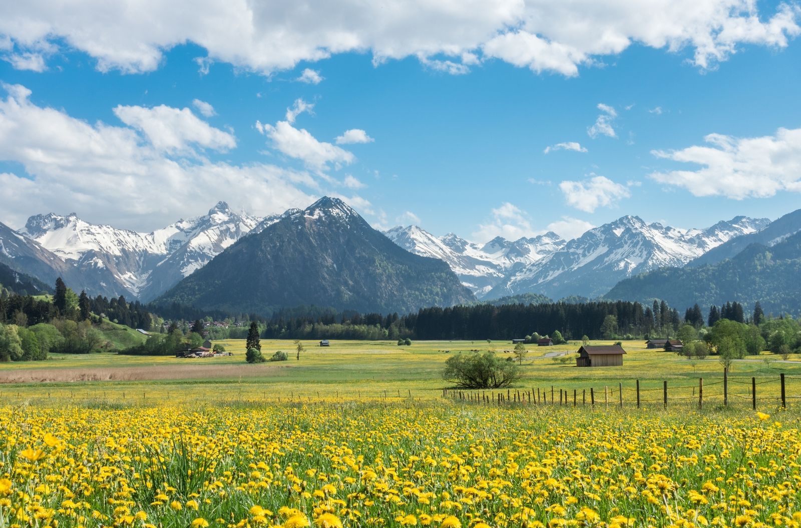 Blick auf die Alpen im Allgäu