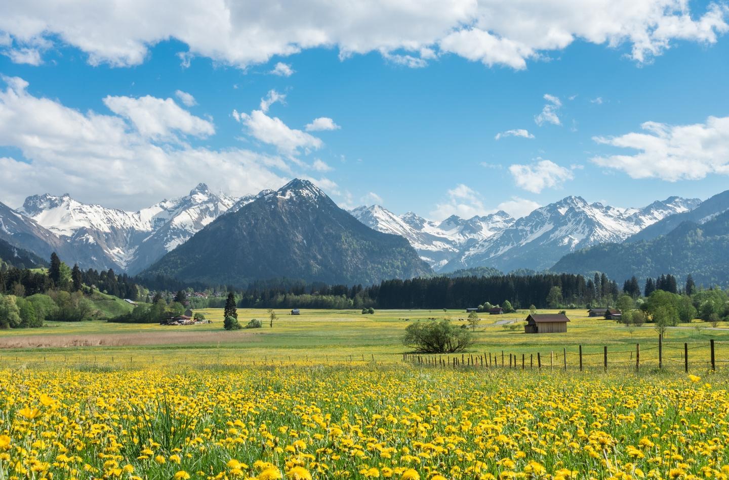 Blick auf die Alpen im Allgäu