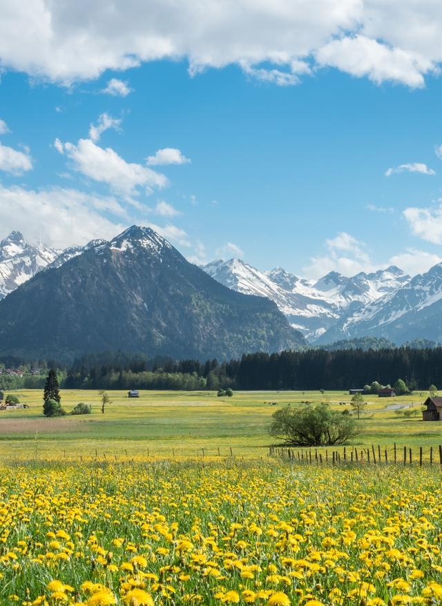 Zu den Angeboten Allgäuer Alpen