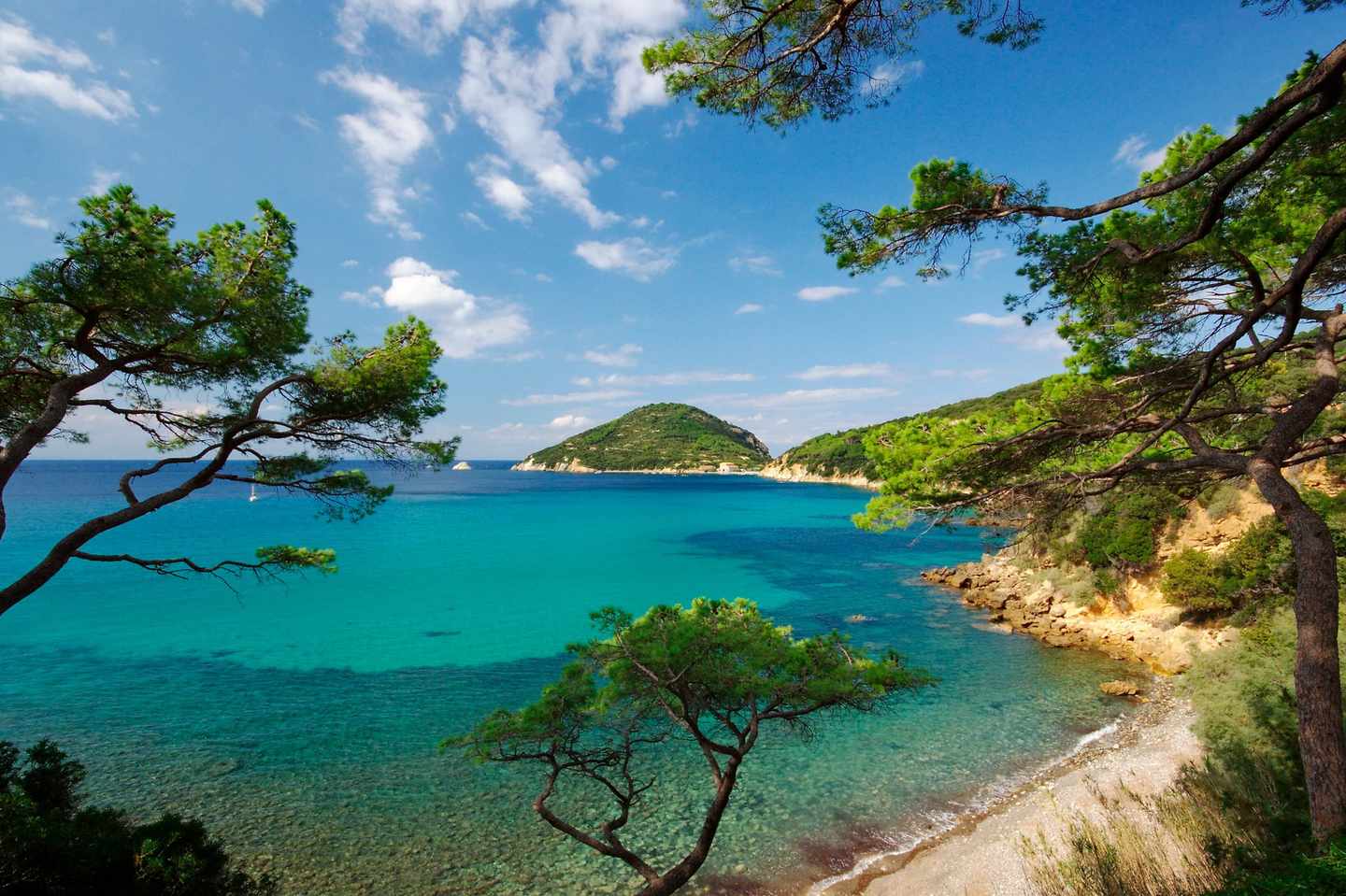 italien-elba-kueste-t-147087250.jpg