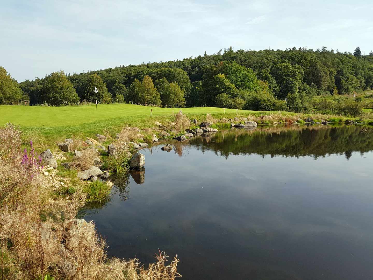 golfhotel-rheinland-pfalz-g-904077504.jpg