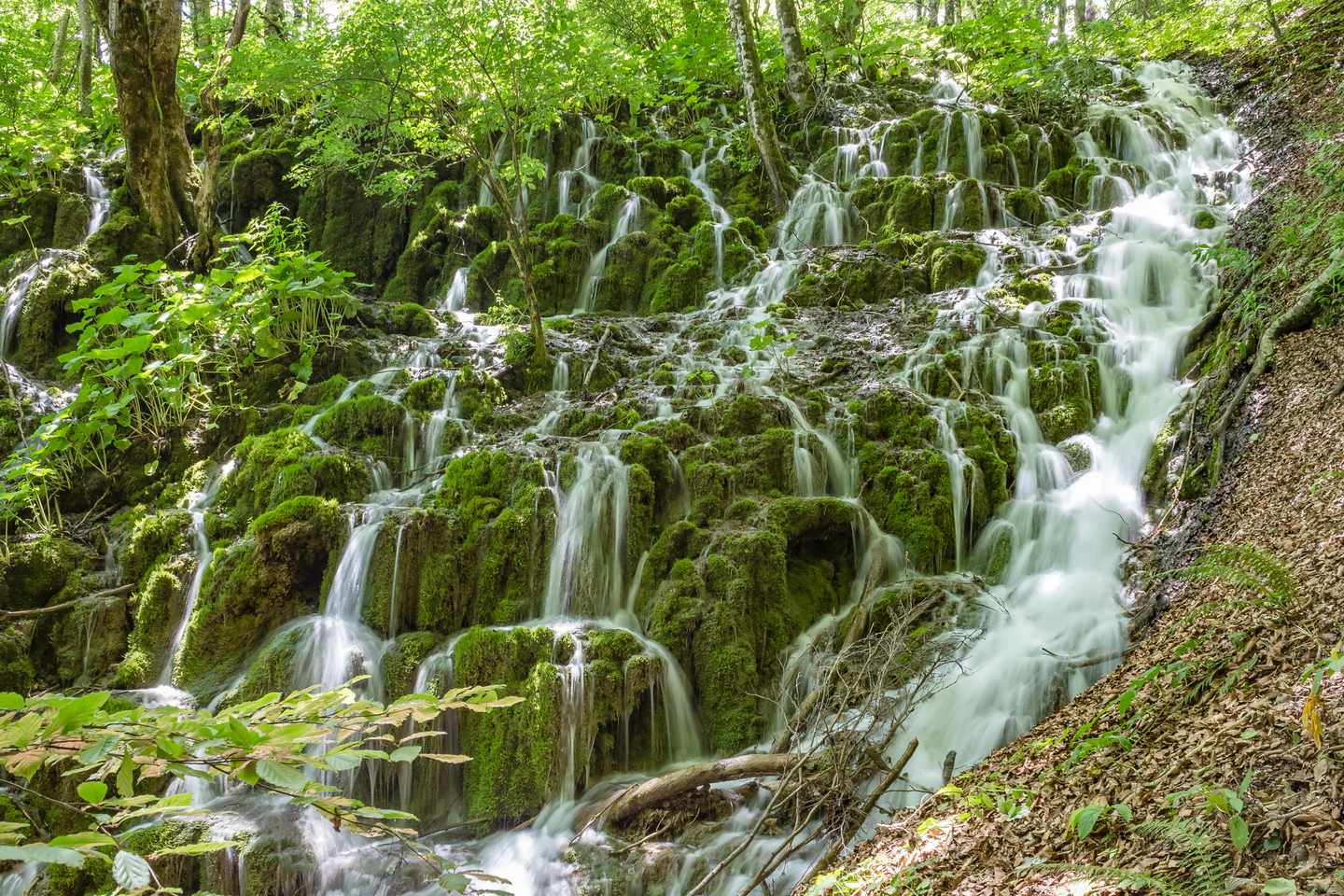 kroatien-plitvicer-seen-g-2156179301.jpg