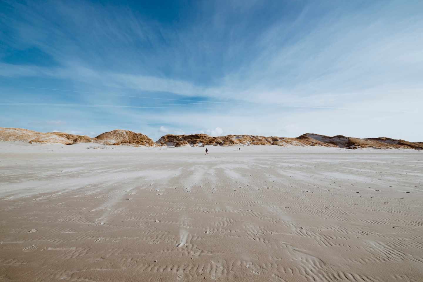 amrum-deutschland-ebbe-meer-g-1144538272.jpg