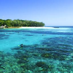 Cairns Hotels