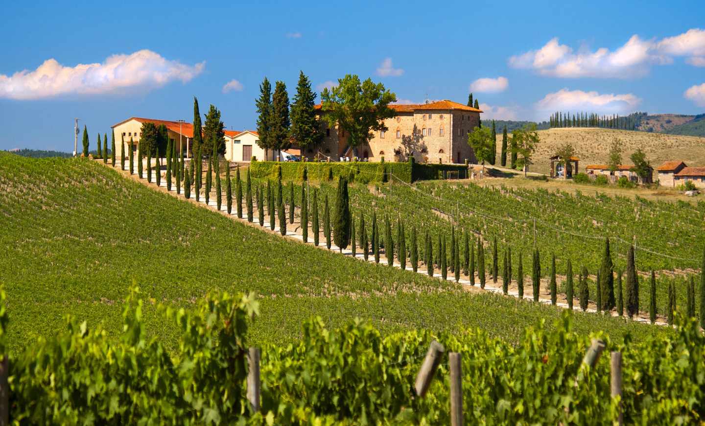 italien-toskana-haus-weinberge-t-136484209.jpg