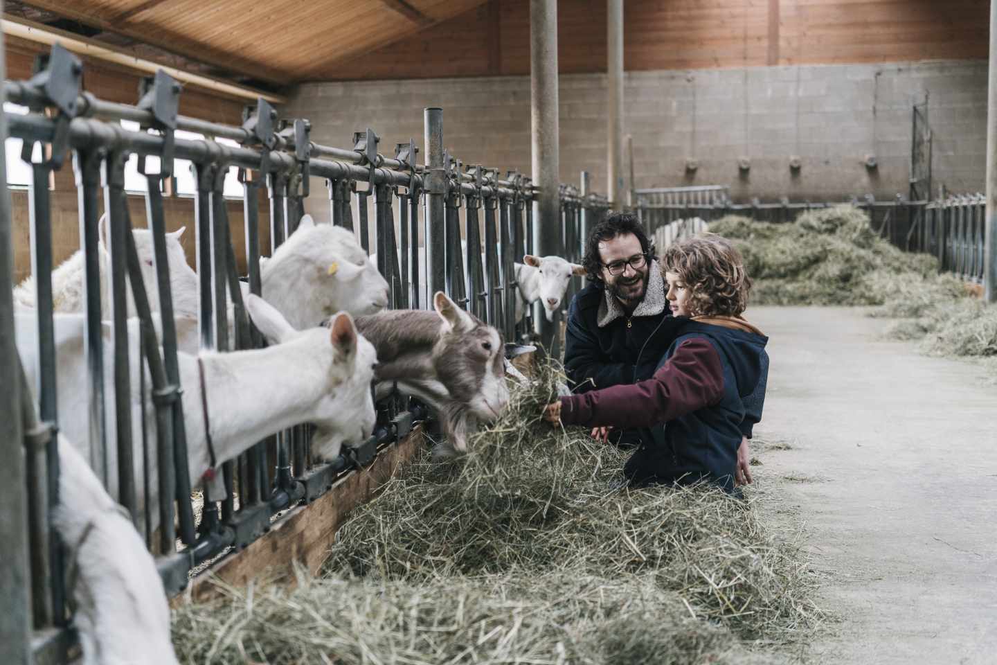 schweiz-bauernhof-ziegen-vater-sohn-g-1305333958.jpg