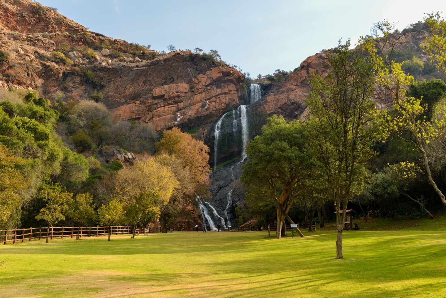 suedafrika-johannesburg-walter-sisulu-national-botanical-garden-g-1128843090.jpg