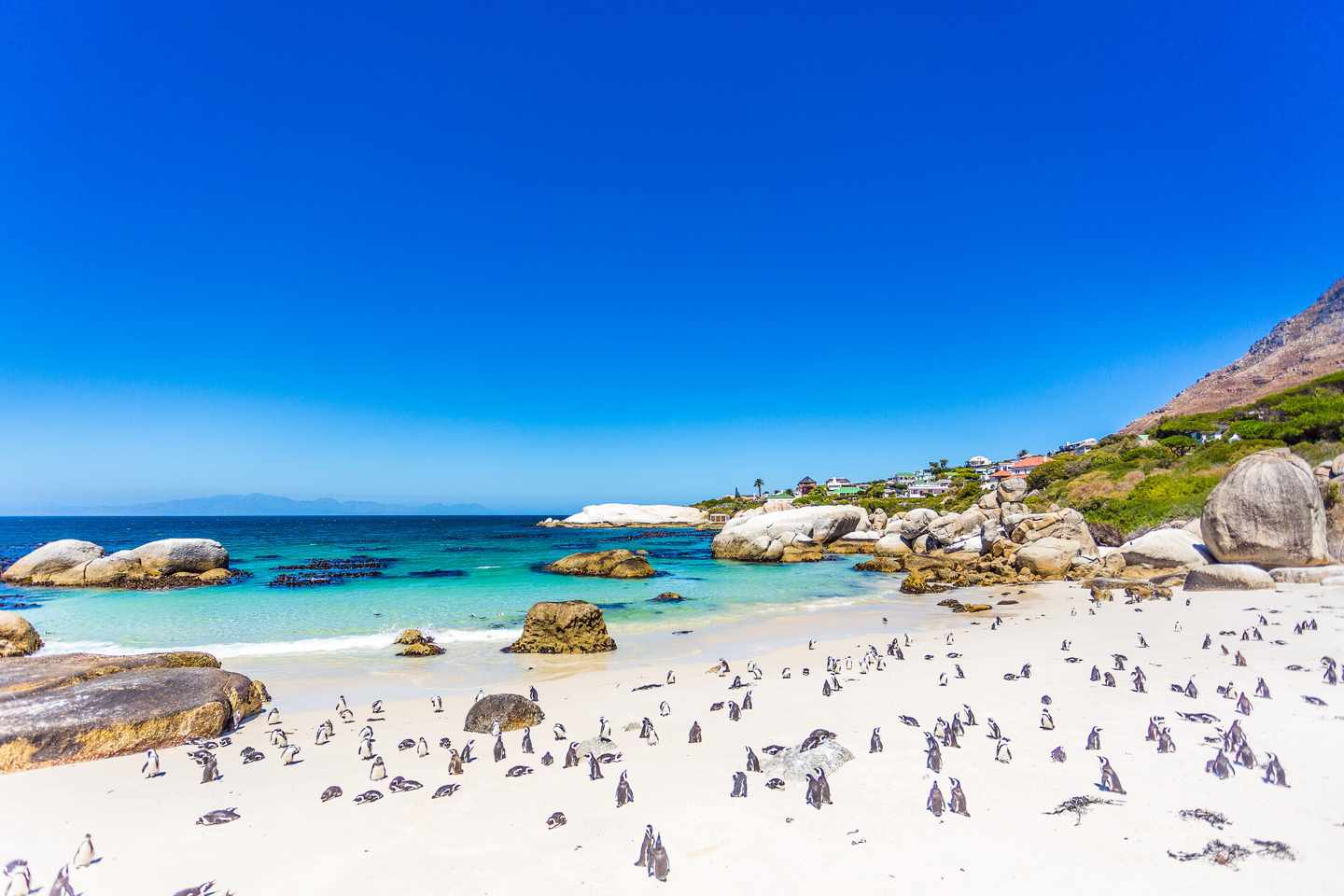suedafrika-boulders-beach-klein-g-671221872.jpg