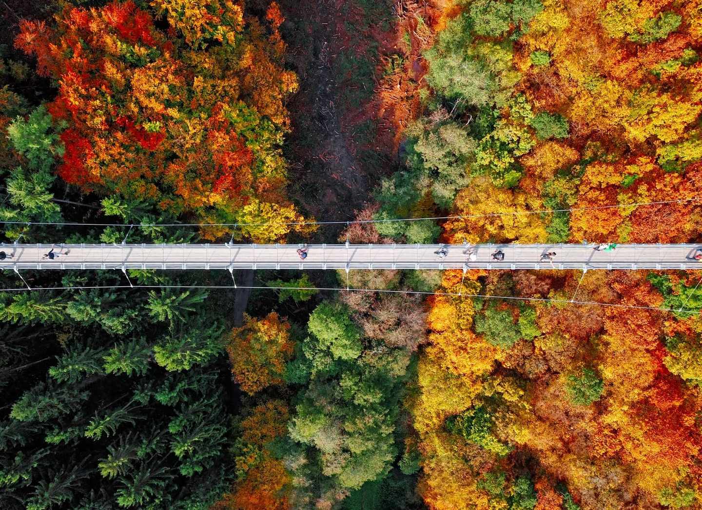 bltfc2821c8580b1eff-deutschland-geierlay-haengeseilbruecke-fotospots-deutschland-g-1047586838.jpg Tolle Fotolocation: die Hängeseilbrücke Geierlay