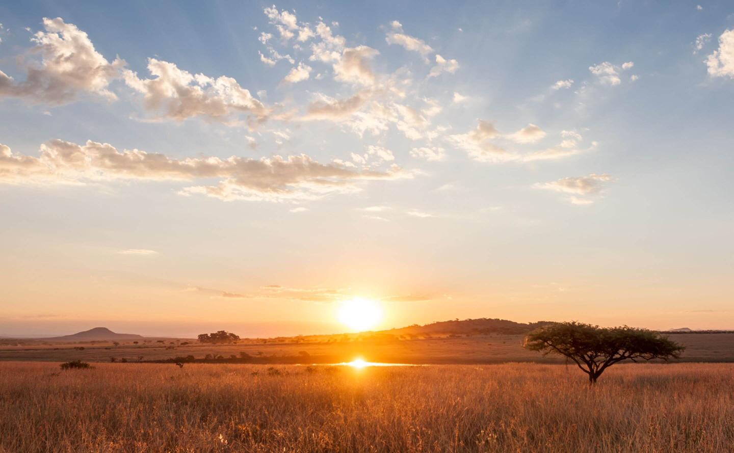 blt52da69a684f5cb24-afrika-sonnenuntergang-savanne-dertour-g-683812350.jpg afrika-sonnenuntergang-savanne-dertour-g-683812350.jpg