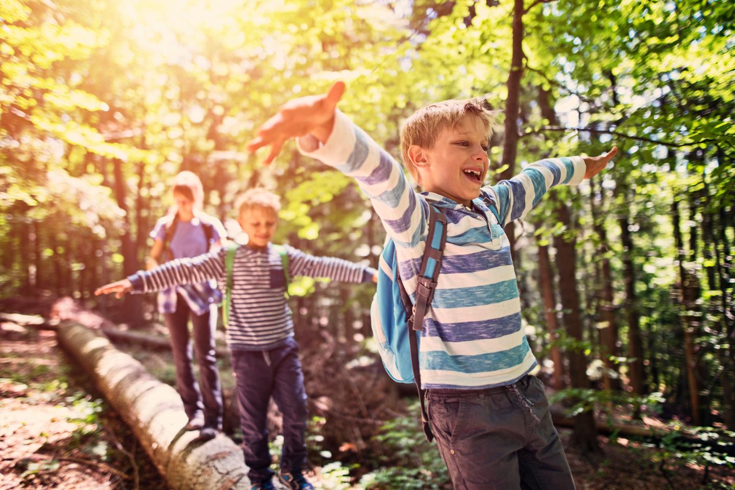 blt14f24d169654e9fd-GettyImages-844337726.jpg kinder-wald-jungen-balancieren-g-844337726.jpg