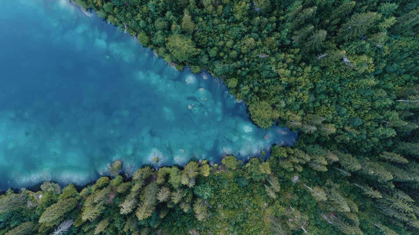 schweiz-wald-see-vogelperspektive-g-995455302.jpg