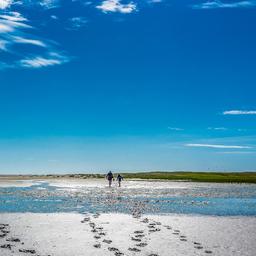 wattenmeer-g-1083291752.jpg