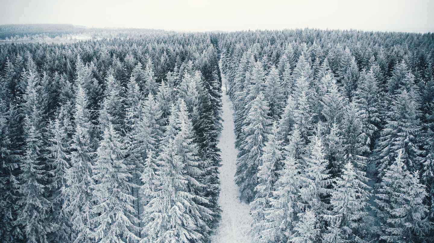 deutschland-rheinland-pfalz-eifel-hohes-venn-winter-g-1131571481.jpg