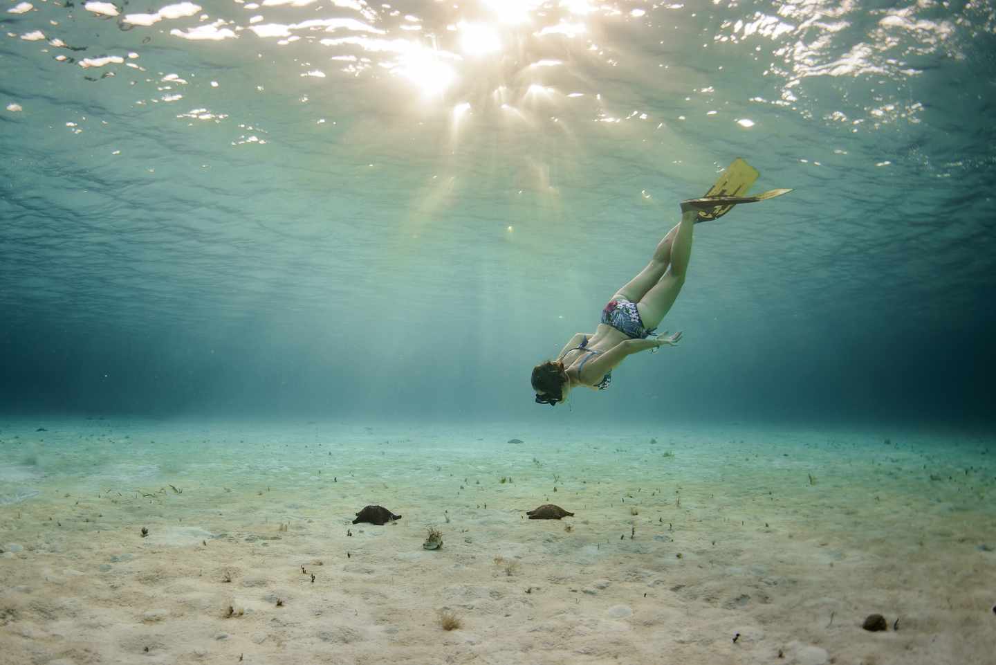 Tauchen im Yucatan-Urlaub
