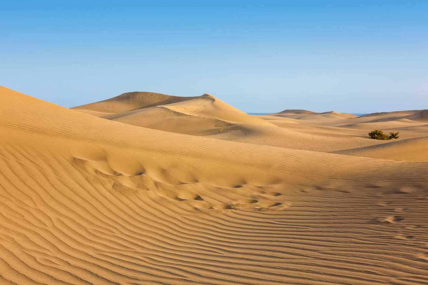 spanien-kanaren-gran-canaria-maspalomas-g-1296464111.jpg