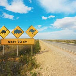 australien-straßenschild-fuer-tiere-warnung-g-905113172_b.jpg