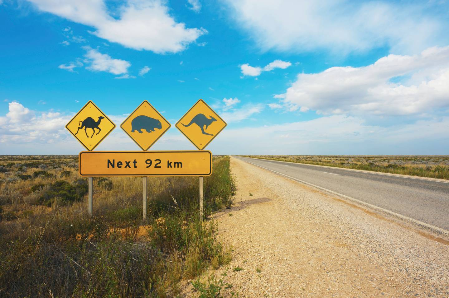 australien-straßenschild-fuer-tiere-warnung-g-905113172_b.jpg