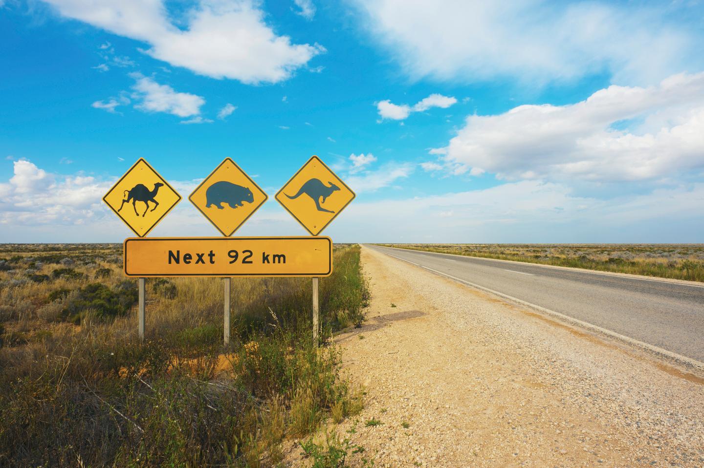 australien-straßenschild-fuer-tiere-warnung-g-905113172_b.jpg
