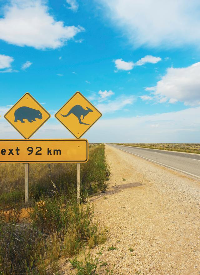 Australien beste Reisezeit