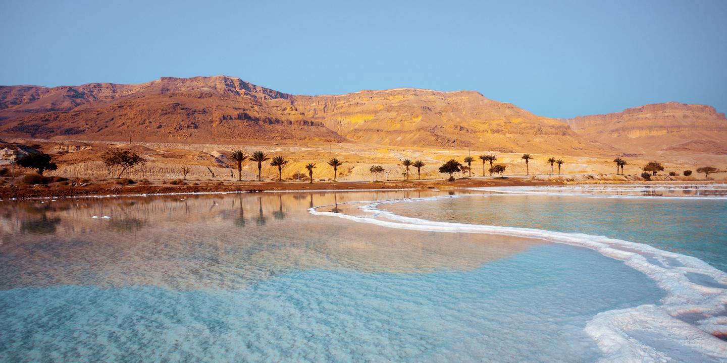 israel-totes-meer-palmen-g-587203352.jpg