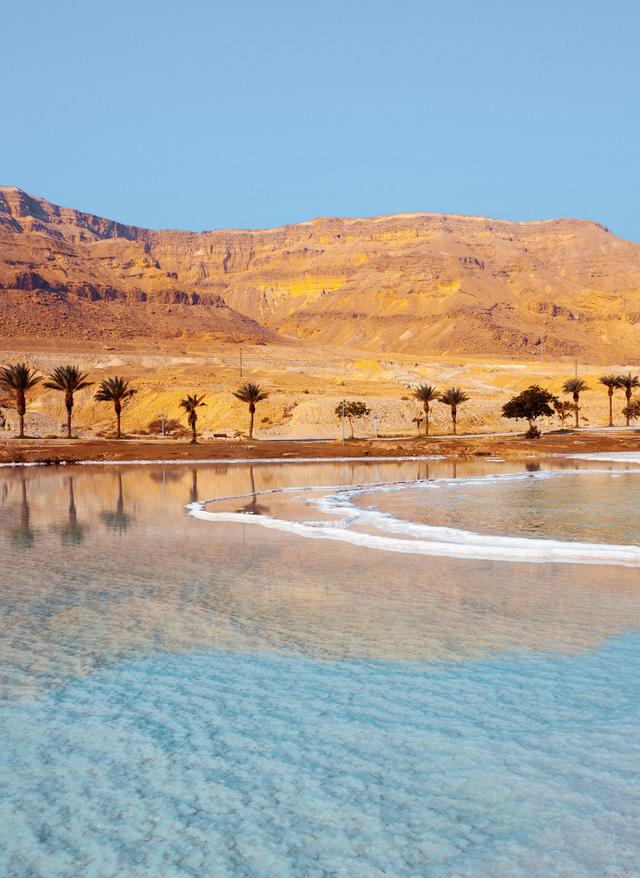 Reisetipps Orient israel-totes-meer-palmen-g-587203352.jpg