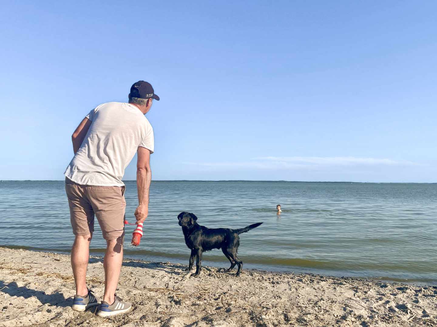 deutschland-fischland-darss-zingst-wustrow-ostsee-strand-mann-hund-dw.jpg