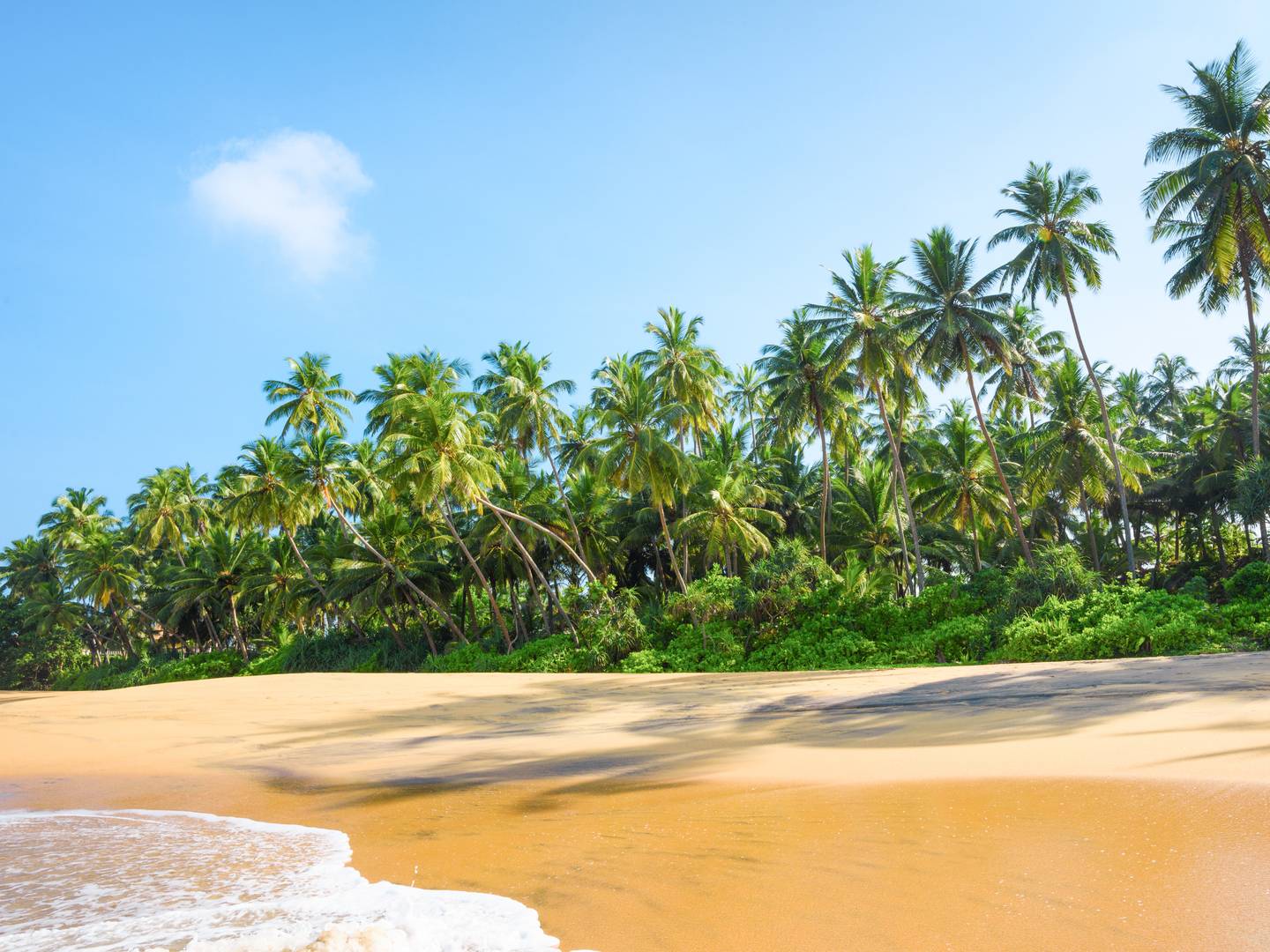 indischer-ozean-sri-lanka-strand-klein-g-1082043146.jpg