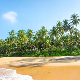 indischer-ozean-sri-lanka-strand-klein-g-1082043146.jpg