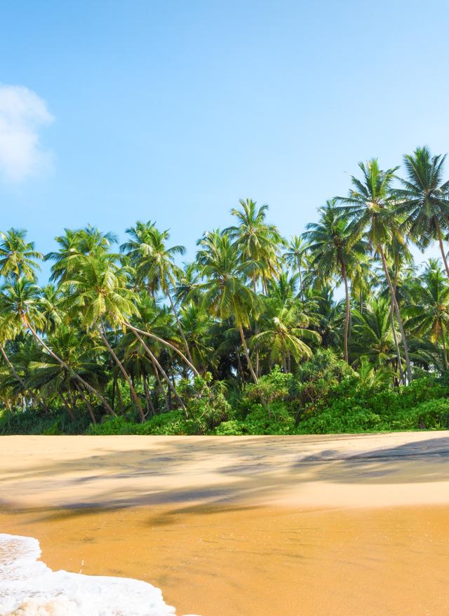 Sri Lanka Urlaub indischer-ozean-sri-lanka-strand-klein-g-1082043146.jpg