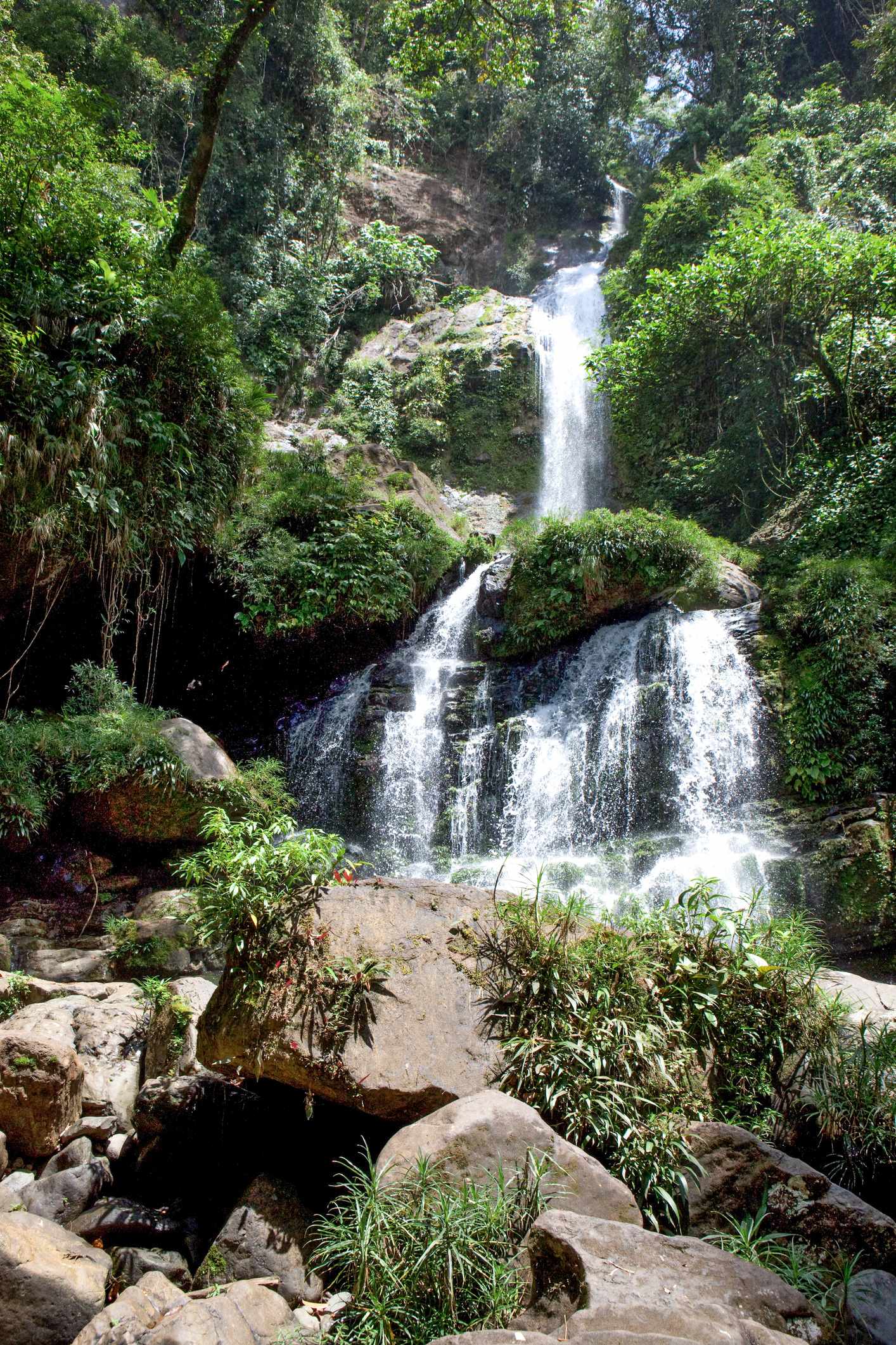 Wasserfall im tropischen Regenwald