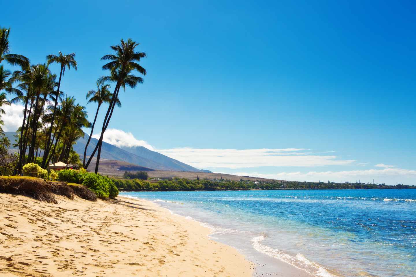 GettyImages-543044222.jpg Palmen am Strand von Kaanapali mit kristallklarem Wasser und Bergen im Hintergrund