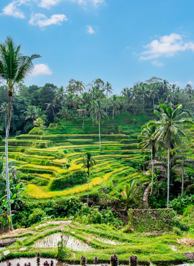 Beste Reisezeit Bali