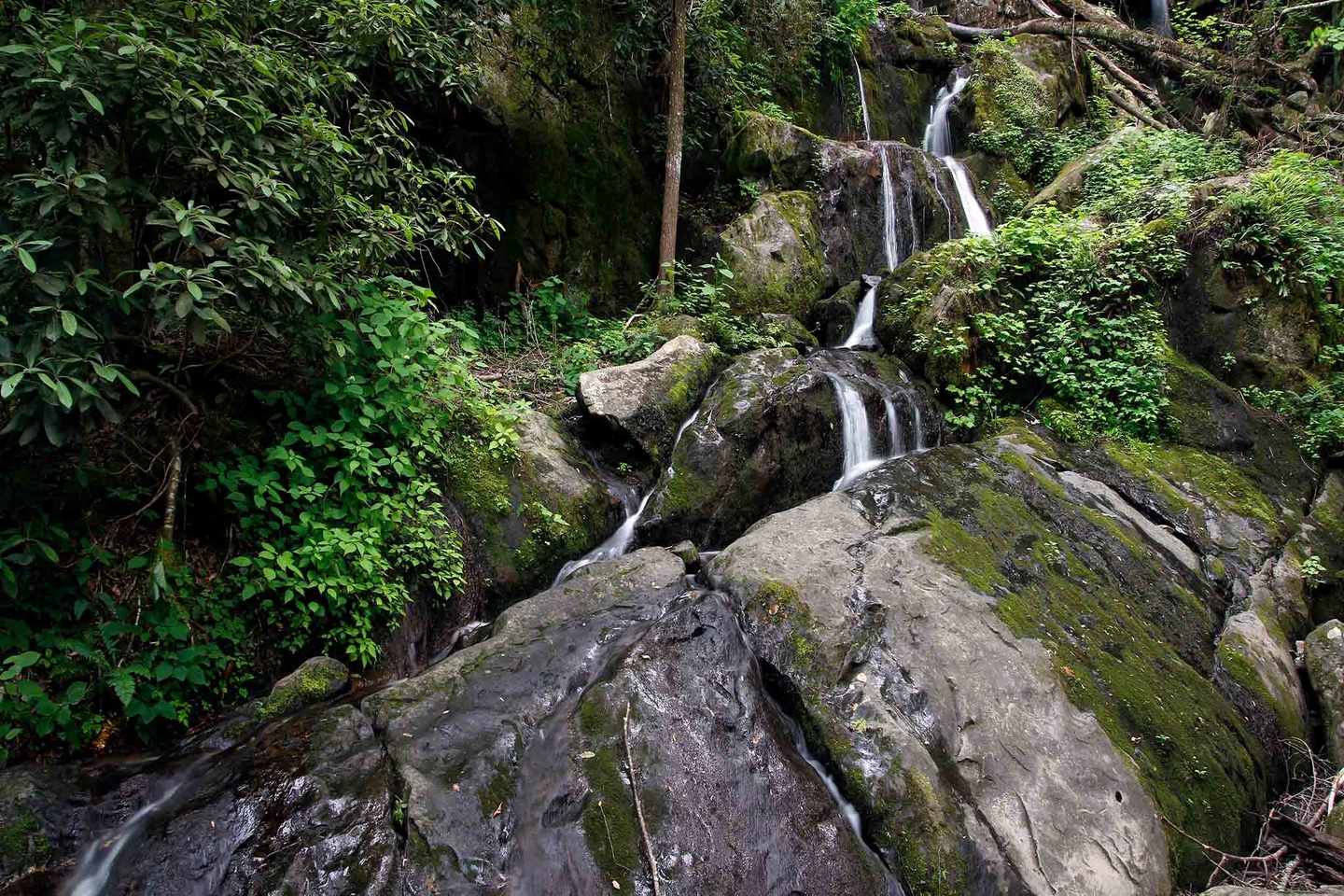 spanien-la-palma-cubo-de-la-galga-wald-wasserfall-g-460424679.jpg