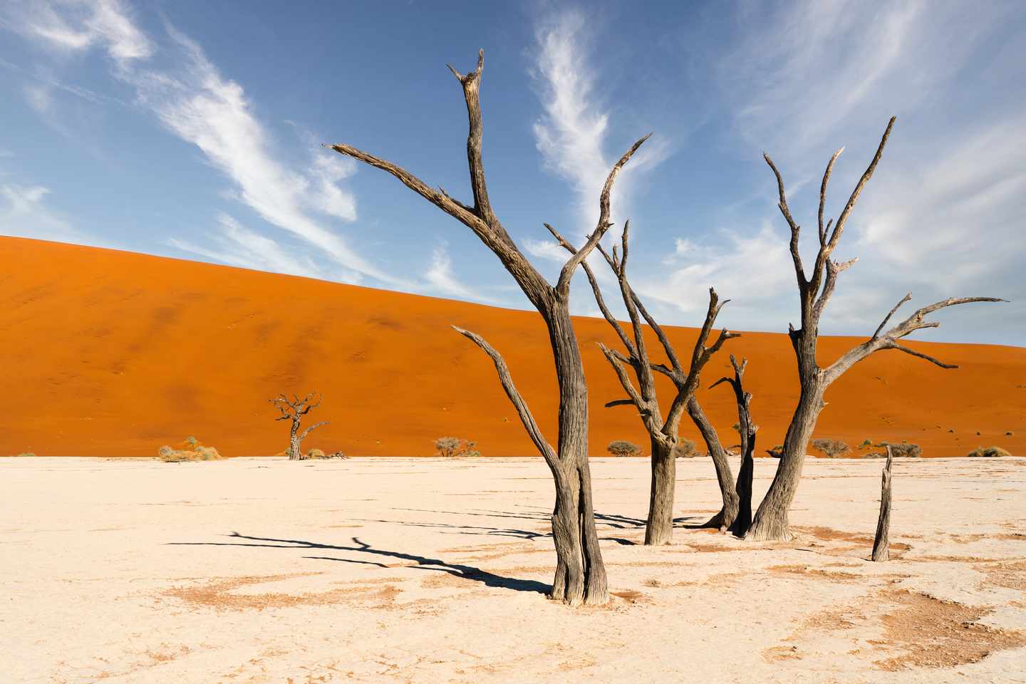 Abgestorbene Kameldornbäume auf weißer Tonpfanne vor roten Sanddünen im Deadvlei in Namibia