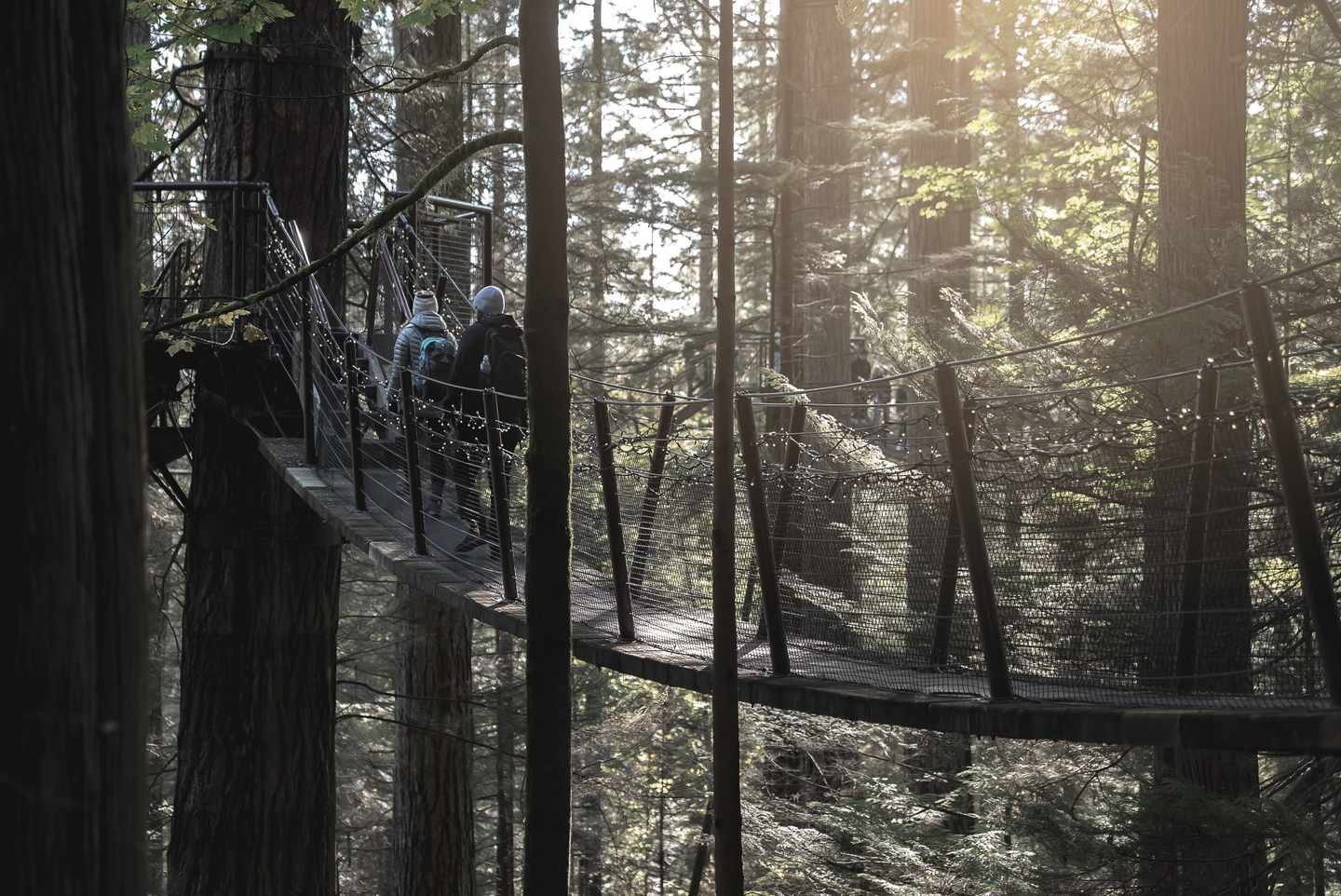 kanada-british-columbia-vancouver-capilano-haengebruecke-g-1357434321.jpg