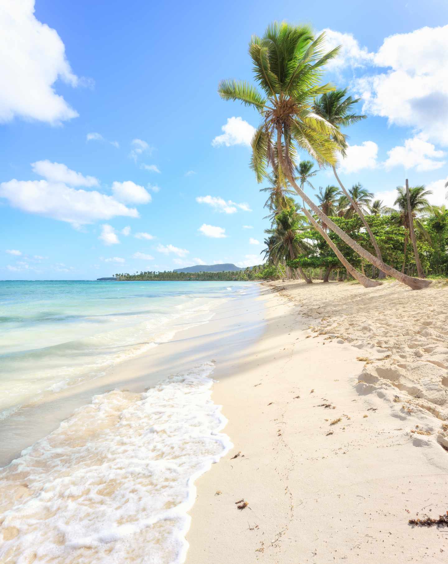 dom-rep-las-galeras-strand-g-962563950.jpg