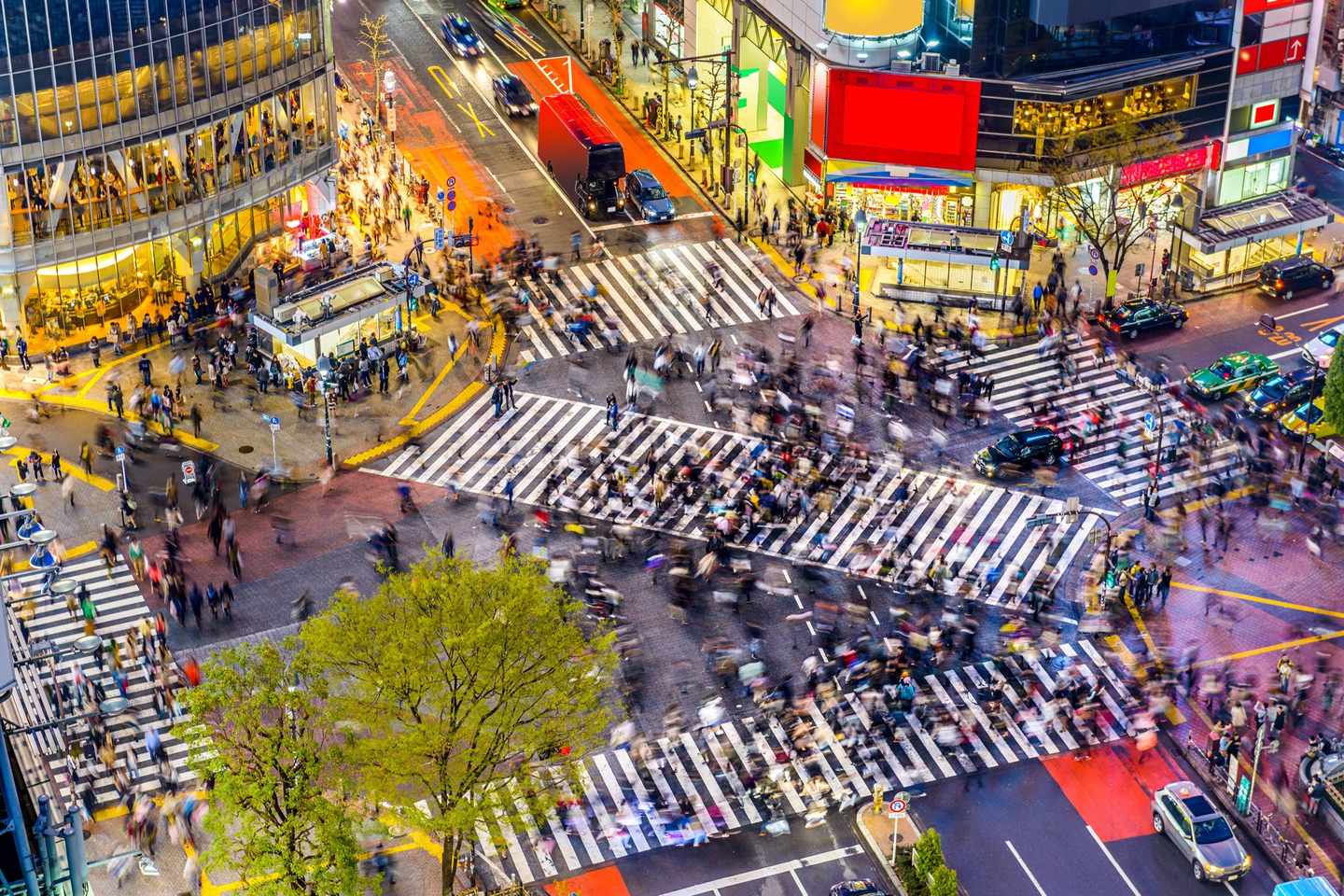 japan-tokio-shibuya-t-479305270.jpg