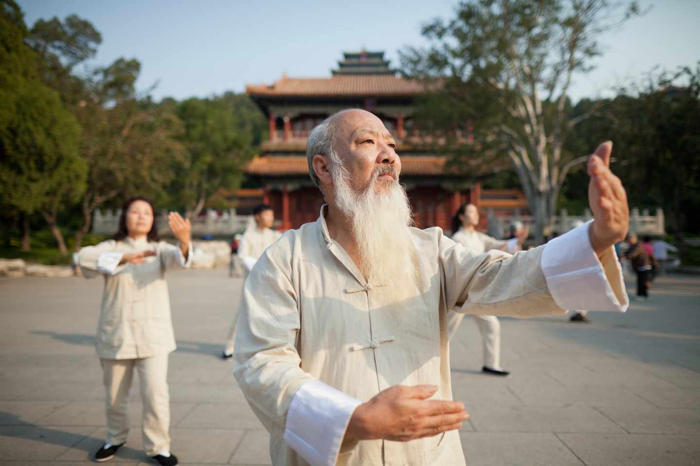 china-tai-chi-klein-g-186247419.jpg