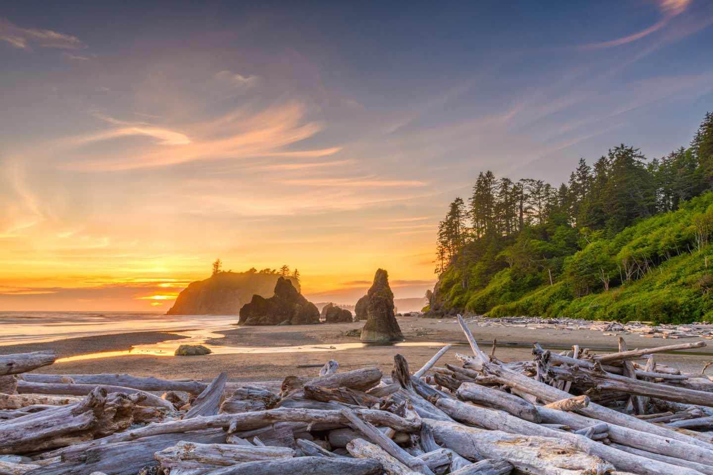 usa-washington-olympic-national-park-am-ruby-beach-g-1017216064.jpg