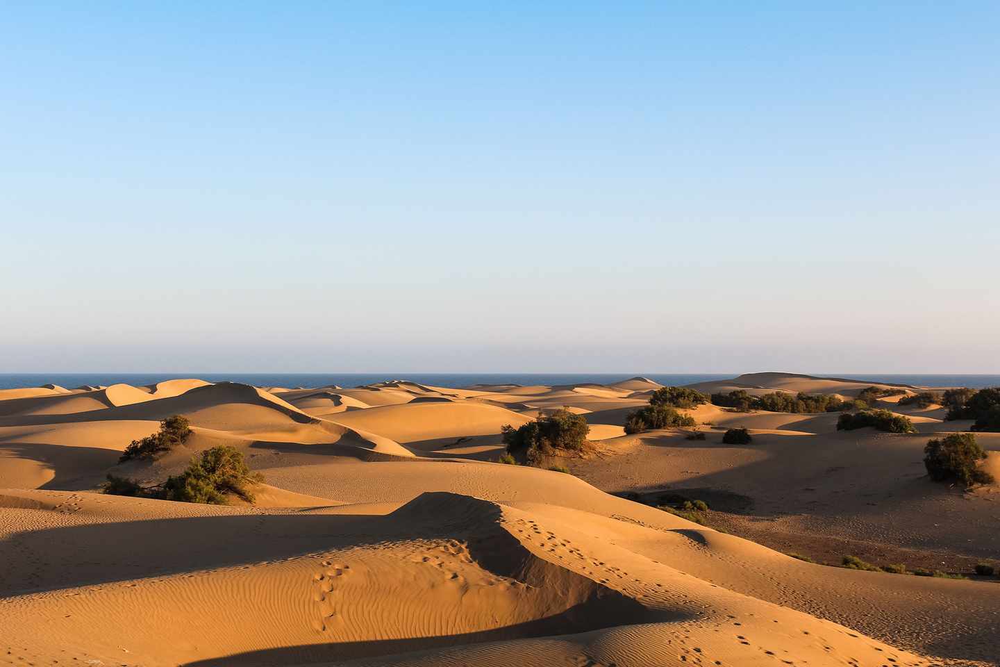 spanien-gran-canaria-maspalomas-sandduenen-g-1098429762.jpg