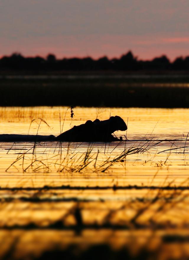 Chobe-Nationalpark