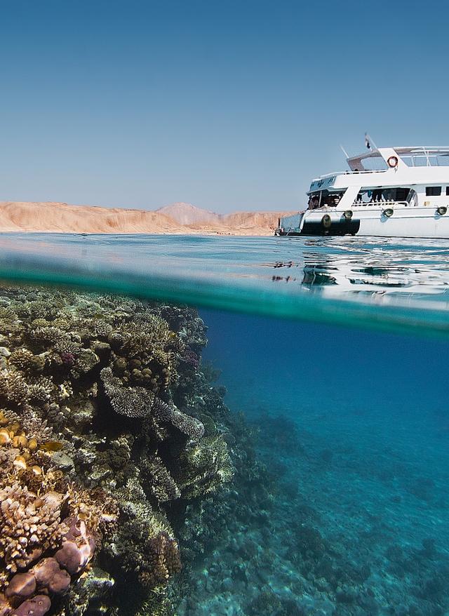 aegypten-tauchsafari-tauchen-g1326841109.jpg