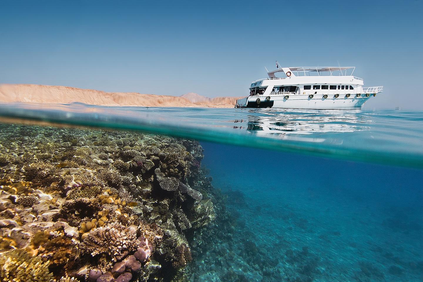 aegypten-tauchsafari-tauchen-g1326841109.jpg
