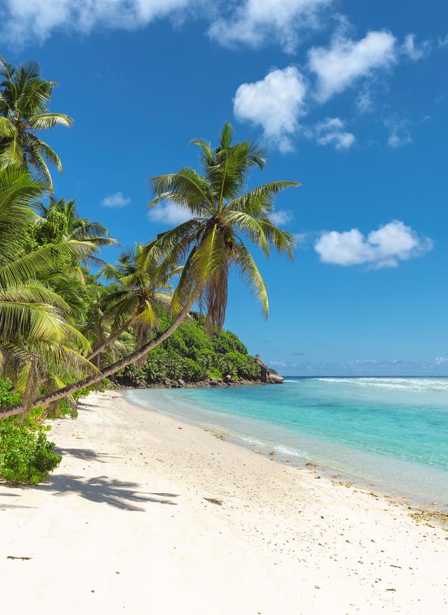 barbados-st-james-strand-g-694344280.jpg