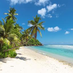 barbados-st-james-strand-g-694344280.jpg