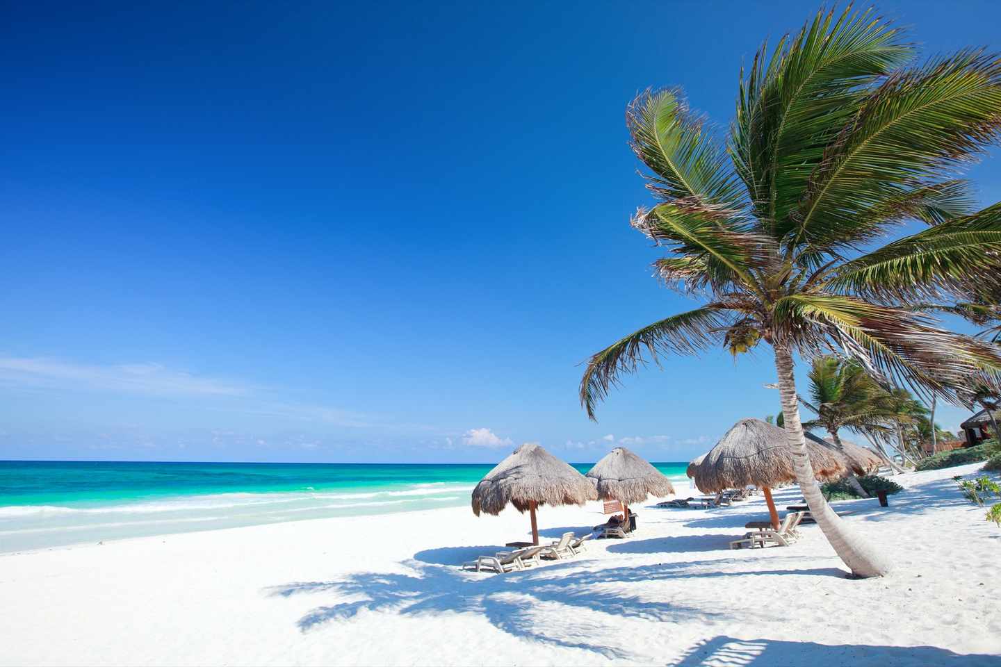 mexiko-tulum-sonnenschirme-strand-meer-palme-g-136579116.jpg