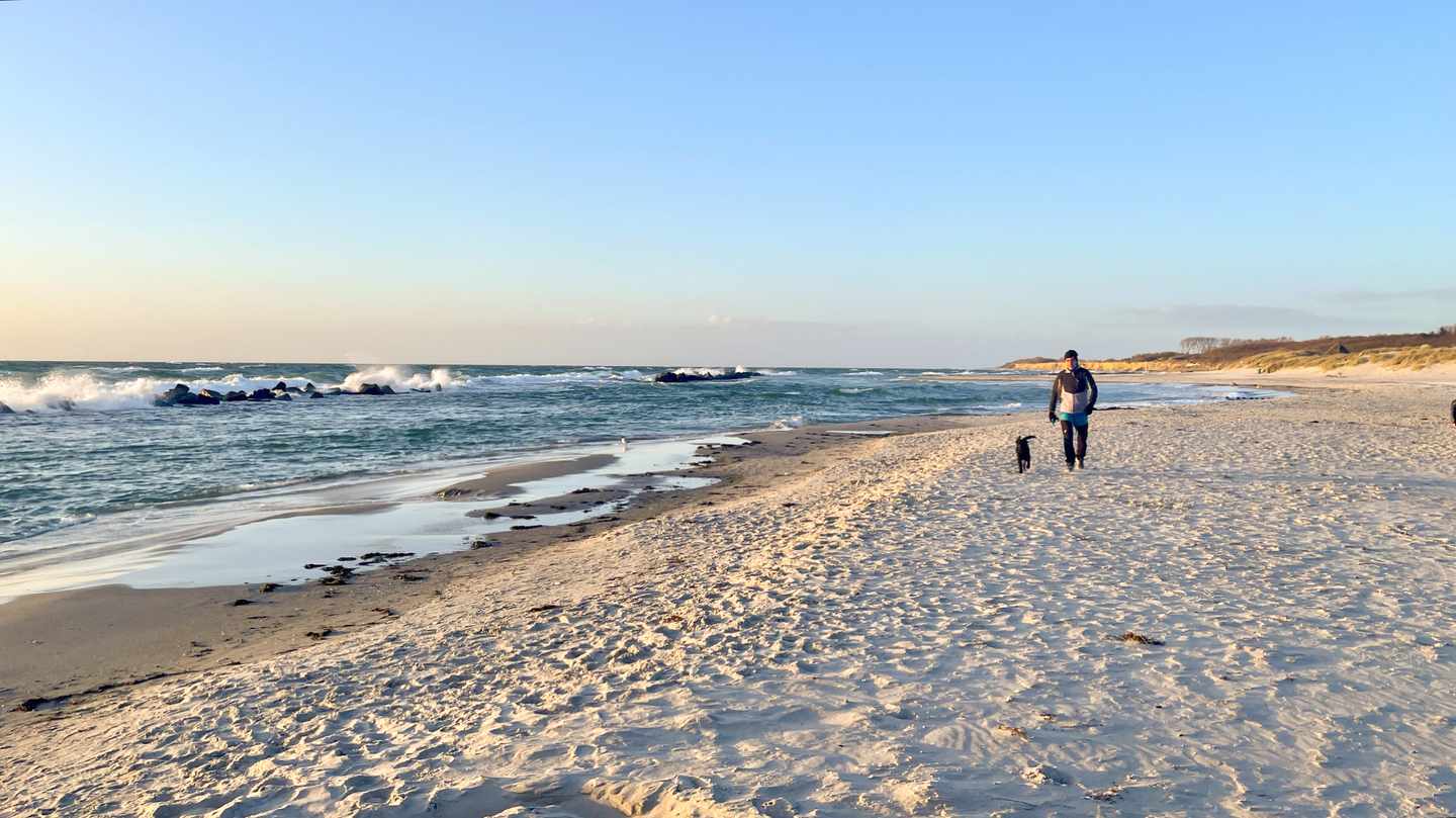 deutschland-fischland-darss-zingst-ostsee-strand-mann-hund-dw.jpg