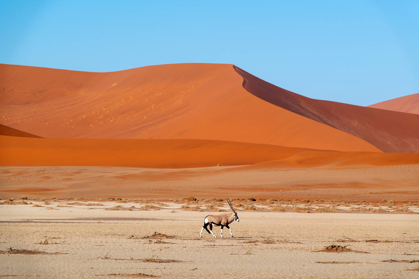 namibia-sossus-duenen-namib-naukluft-np-g-1153952435.jpg
