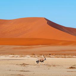 namibia-sossus-duenen-namib-naukluft-np-g-1153952435.jpg